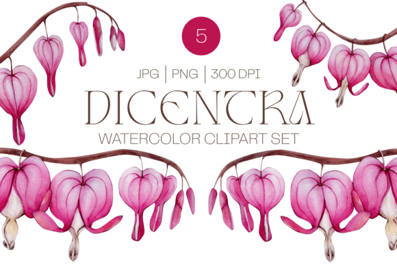 Elevate Your Creative Projects with Pink Watercolor Dicentra Flower Cliparts