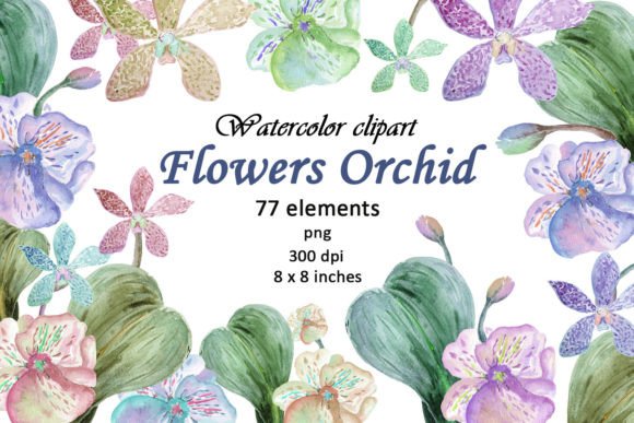 Elevate Your Designs with High-Quality Watercolor Flowers Orchid Clipart PNG