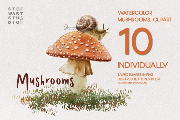 Enchanting Watercolor Forest Mushrooms Clipart