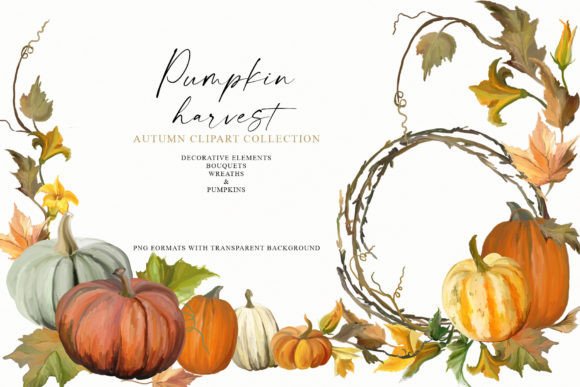Pumpkin Harvest Bouquet Collection Guide