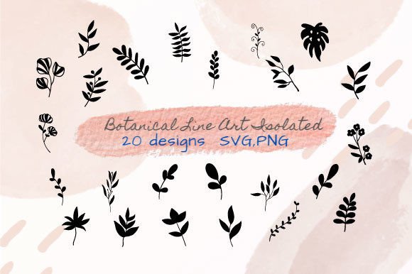 Unlocking Creative Potential: A Guide to Botanical Hand-Drawn Line Art for Modern Design